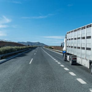 Curso online de bienestar animal en el transporte de animales vivos (20 horas)