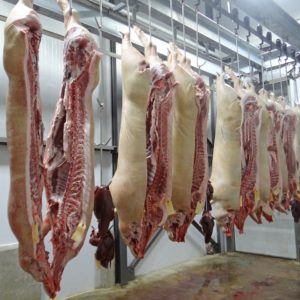 Curso bienetar animal en mataderos